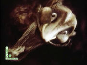 ��������� �������