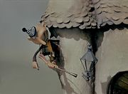 ��� � ���������