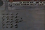 ����