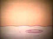 ������ ����� ����
