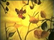 � ������� � ��� ���� �����