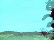 ��� ���� ���� ��������