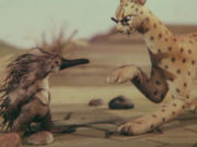 �����. 14. AB OVO - ��� ������ �� ����
