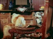 �����-����� (1975)
