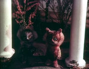 ������ ��� (1982)