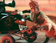 ������ ��� (1982)