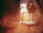 ������ ��� (1982)
