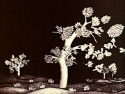 �������� ������ (1978)