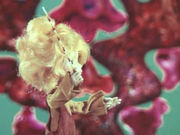 �������� � ��������� ������.  2. ������� � �����������
