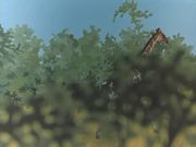 �����