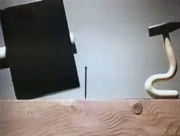 ������ ����. �������������
