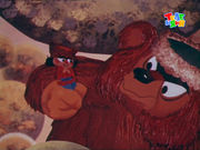 ��� ���������-