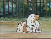 ����. 29. ���� - ���������