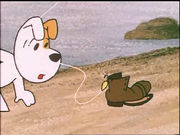 ����. 17. ���� - ������ ������