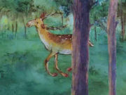 �����������. 9. ��� ��� ��� ����������