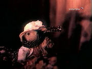 ������ � ������ ������� (1981)