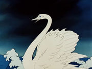 ������ � ���� ������� (1984)
