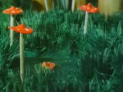 ��������� �����