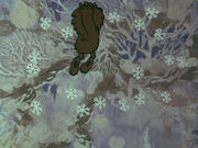 ������ ������ (1981)